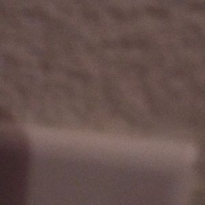 Meet your Posher, Carter